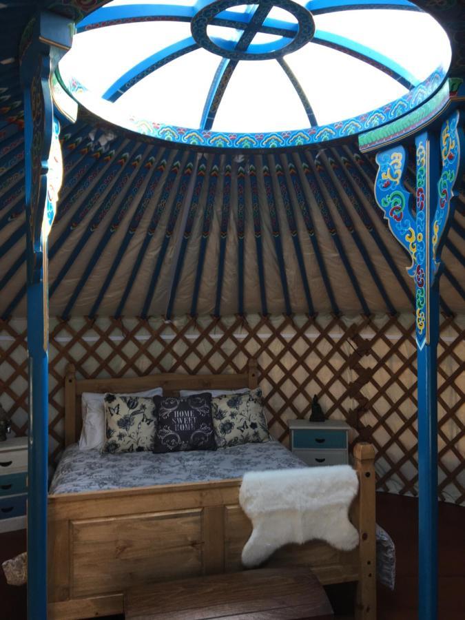 Hotel French Fields Luxury Glamping Original Mongolian Yurt Le-Vieux-Cerier Exteriér fotografie